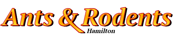 Hamilton Ant Exterminator & Rodent Control Company Logo